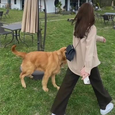 男孩和女孩